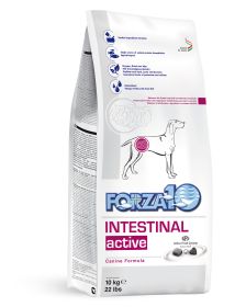 Active Dog Intestinal 22lb - Intestinal 22lb