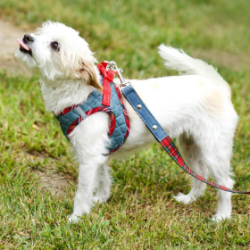 Step-In Denim Dog Harness - Red Plaid - Large - Red Plaid