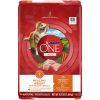 Purina ONE Plus Healthy Weight Dog Food Dry Formula - Purina ONE