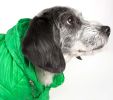 Lightweight Adjustable 'Sporty Avalanche' Pet Coat - Small