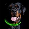 Blinking Flashing Pets Safety LED Adjustable Dog Collar  - Green - Pet supplies