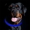 Blinking Flashing Pets Safety LED Adjustable Dog Collar  - Blue - Pet supplies