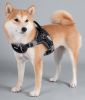 Dog Helios 'Scorpion' Sporty High-Performance Free-Range Dog Harness - Black - Medium