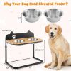 Dog Bowl Stand with 2 Stainless Steel Food Water Bowls - Black