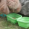 Silicone Collapsible Pet Bowl Double Portable Travel Bowl Equipped with Aluminum Hook Clip - gray