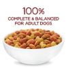 Purina Beneful Originals Dry Dog Food Farm Raised Beef, 36 lb Bag - Purina Beneful