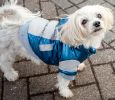 Sporty Vintage Aspen Pet Ski Jacket - Medium