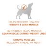 Purina ONE Plus Healthy Weight Dog Food Dry Formula - Purina ONE